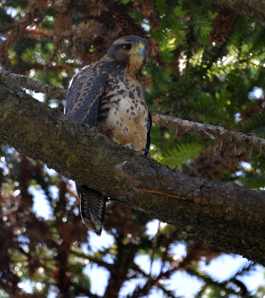 Photograph by Ricardo Kimmich