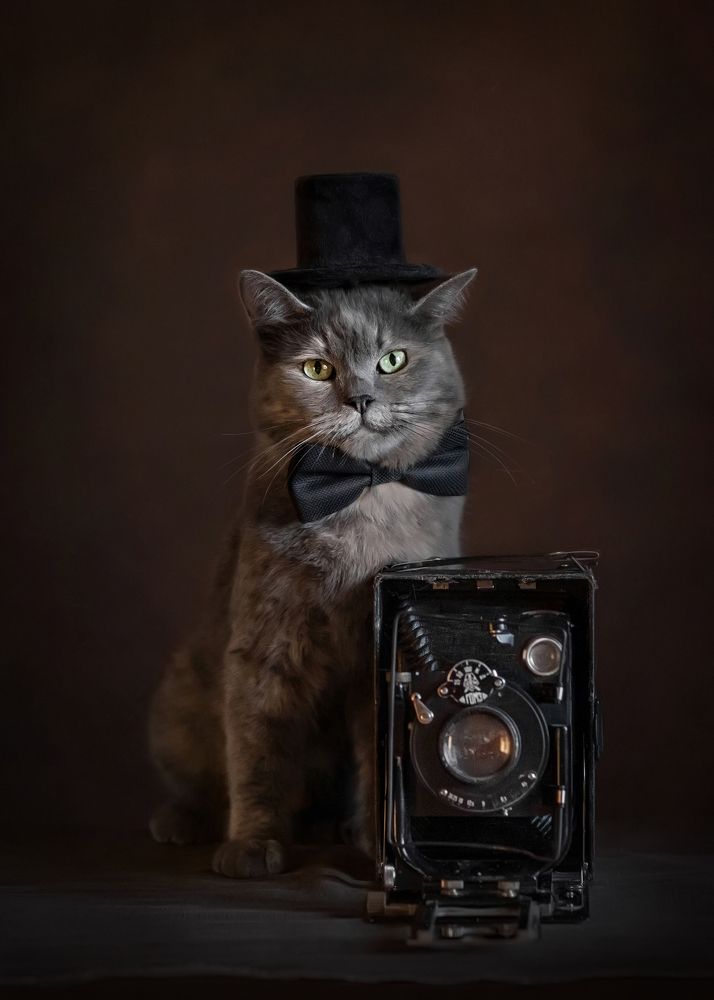 Photograph by Татьяна Самойлова