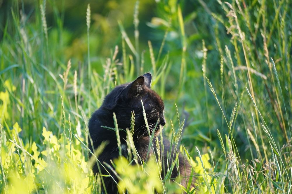 Photograph by Алфия Бугакова
