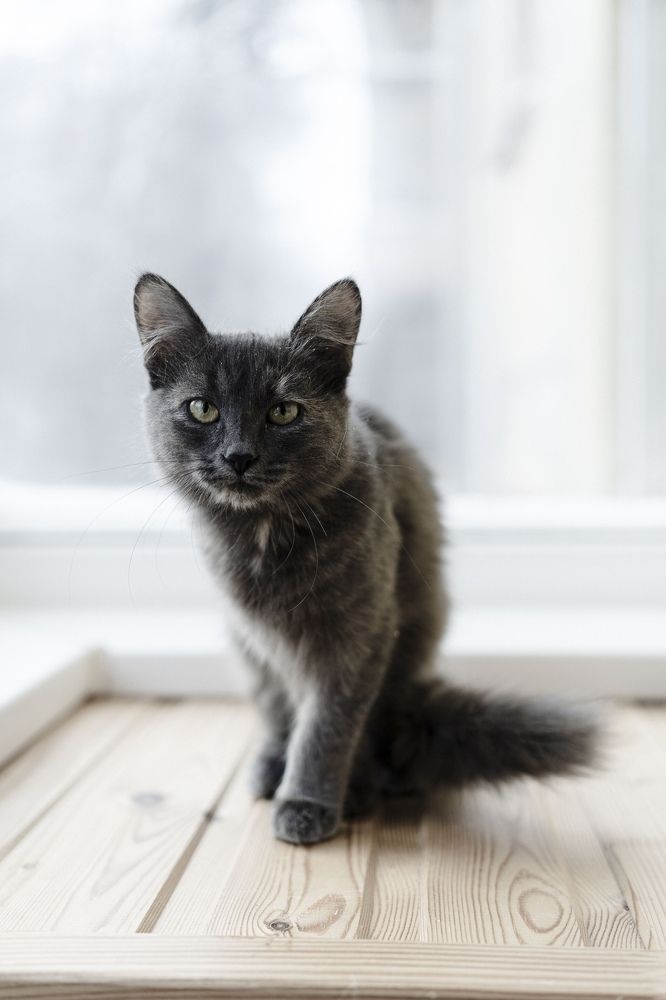 Photograph by Камиль Галеев