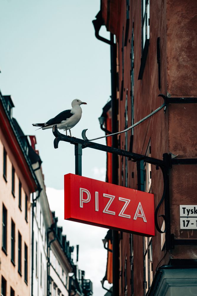 Photograph by Ruslan Badykov