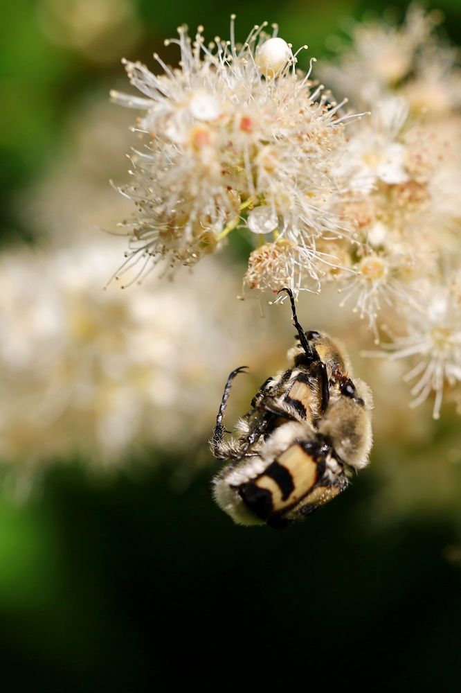 Photograph by Ольга Метлицкая