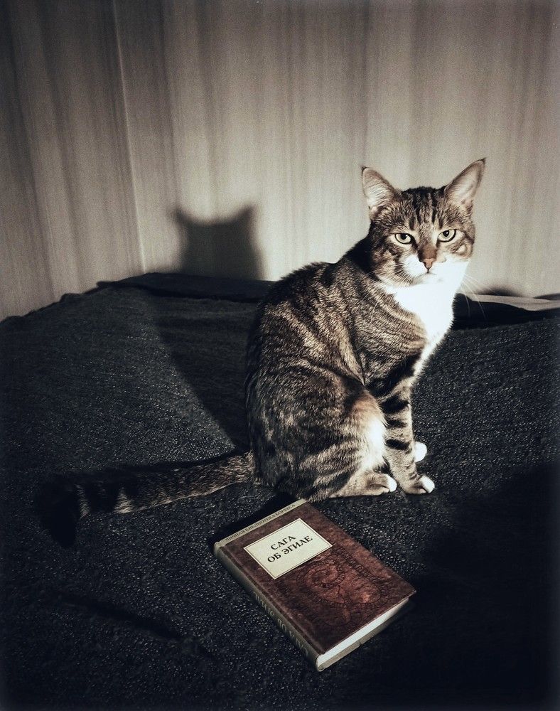 Photograph by Iuliia Akhulkova