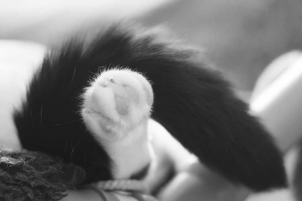 Photograph by Андрей Егоров