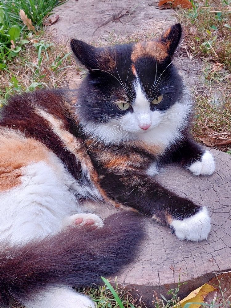 Photograph by Нина Паршина