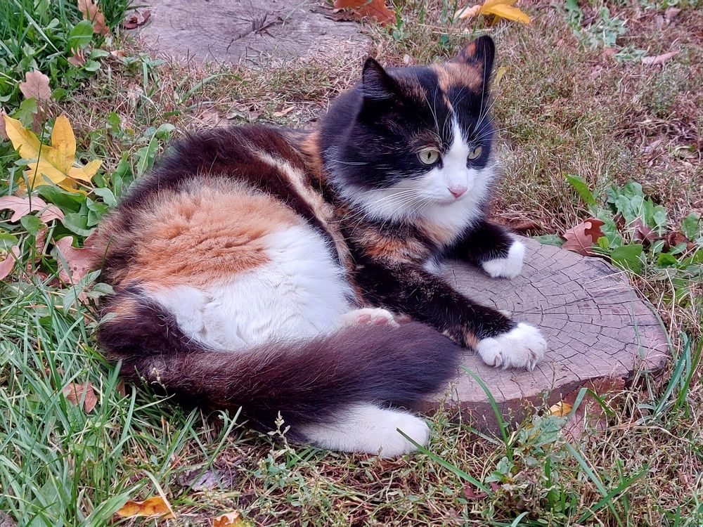 Photograph by Нина Паршина