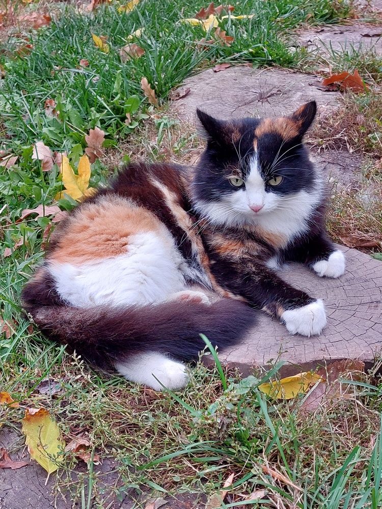 Photograph by Нина Паршина