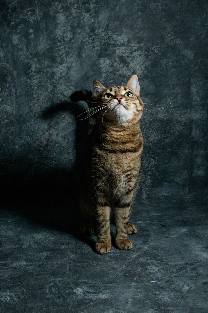 Photograph by Городничев Валерий