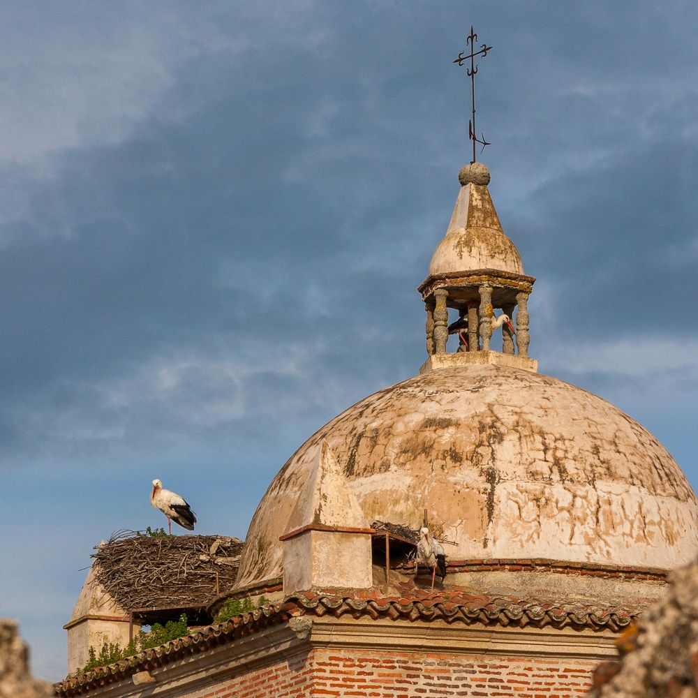 Фотография автора Анатолий