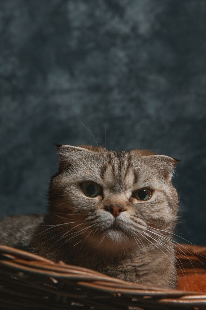 Photograph by Городничев Валерий