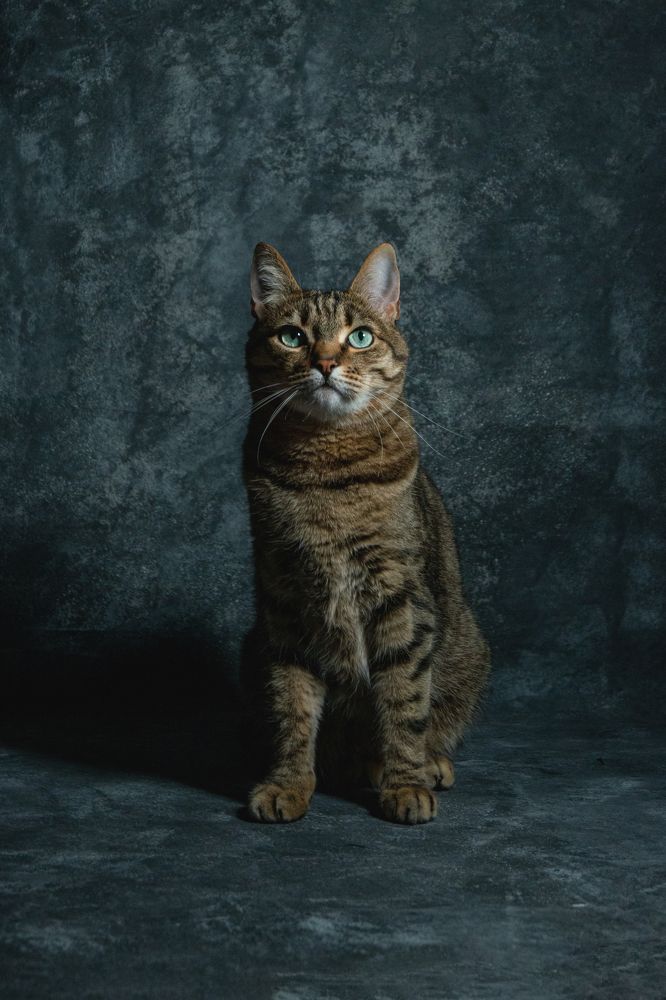 Photograph by Городничев Валерий