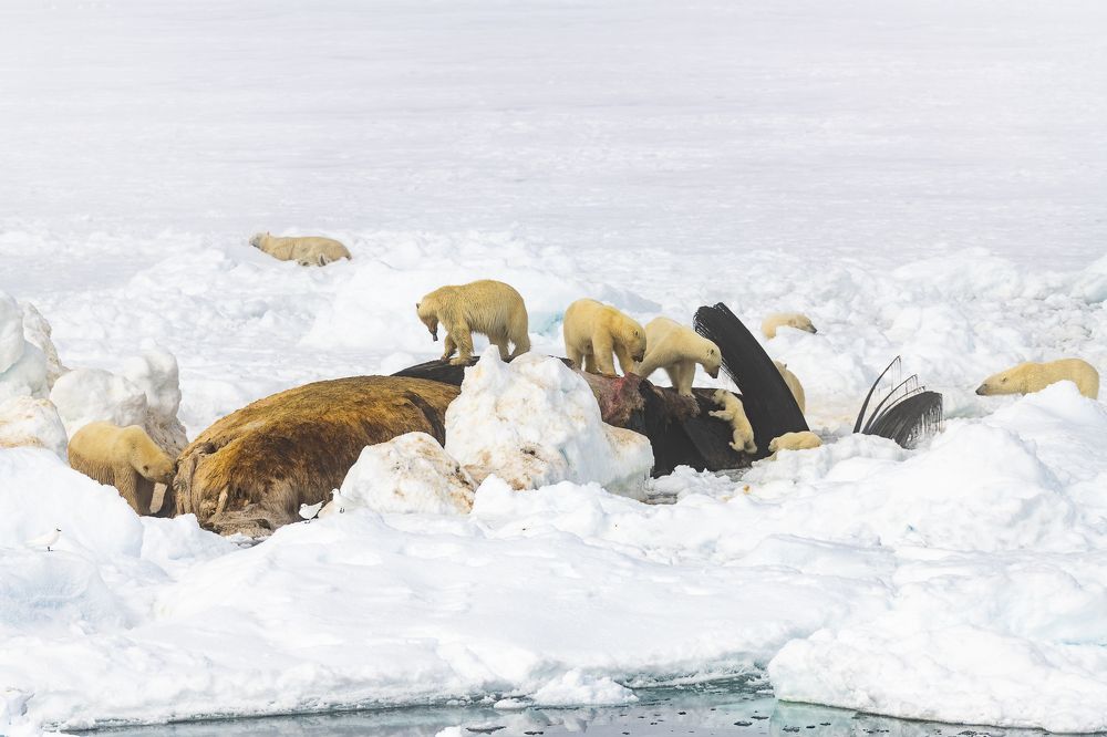 Фотография автора Robin