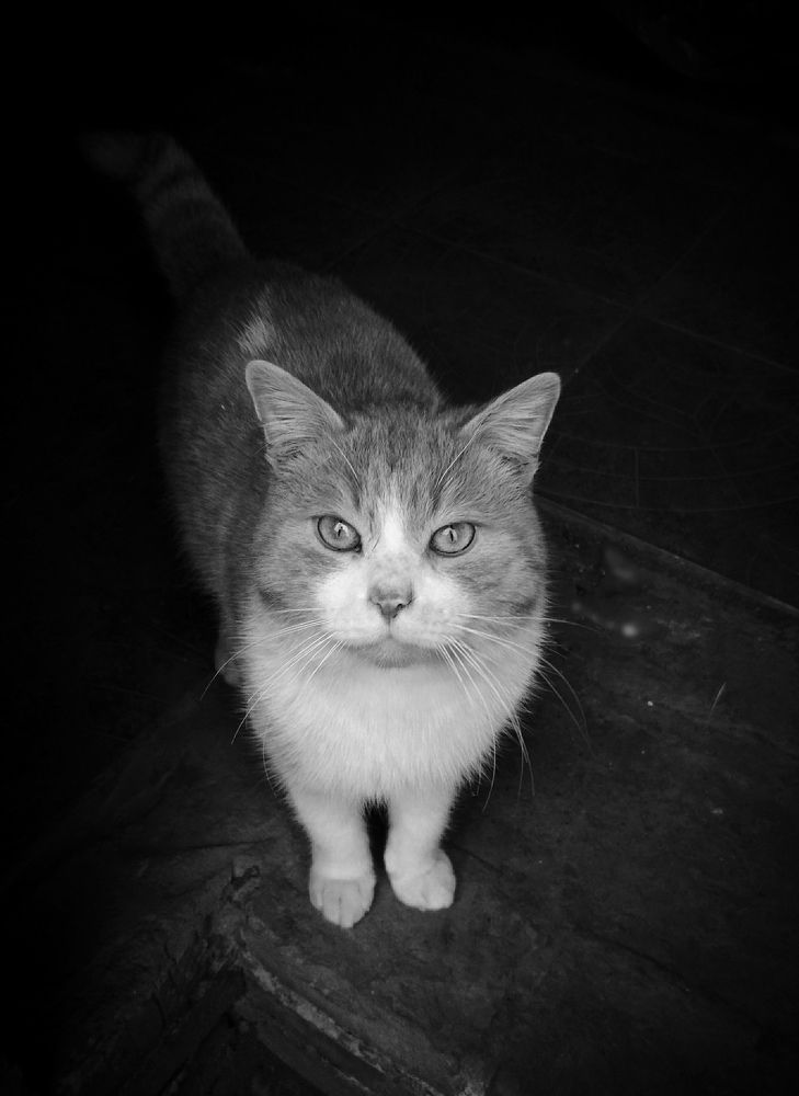 Photograph by Дарья Зотова