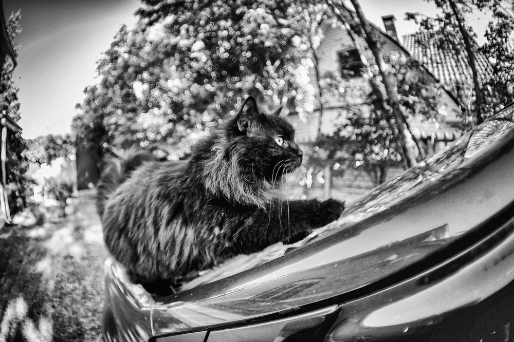 Photograph by Katja Sen