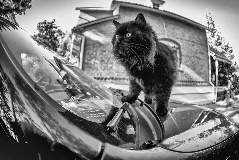 Photograph by Katja Sen