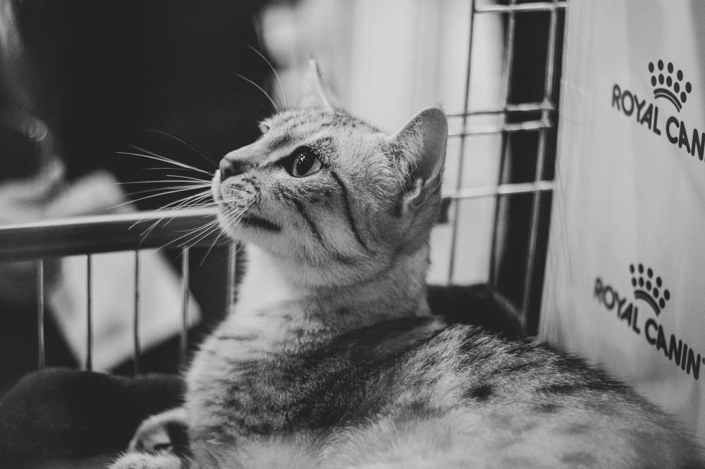 Photograph by Anna Gancheva