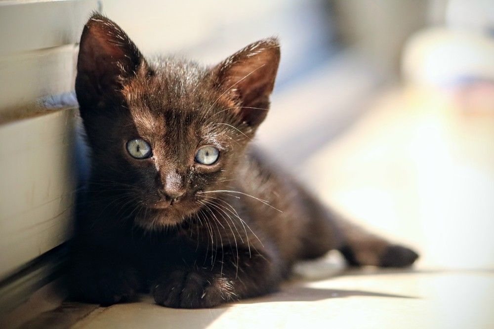 Photograph by volkan akan