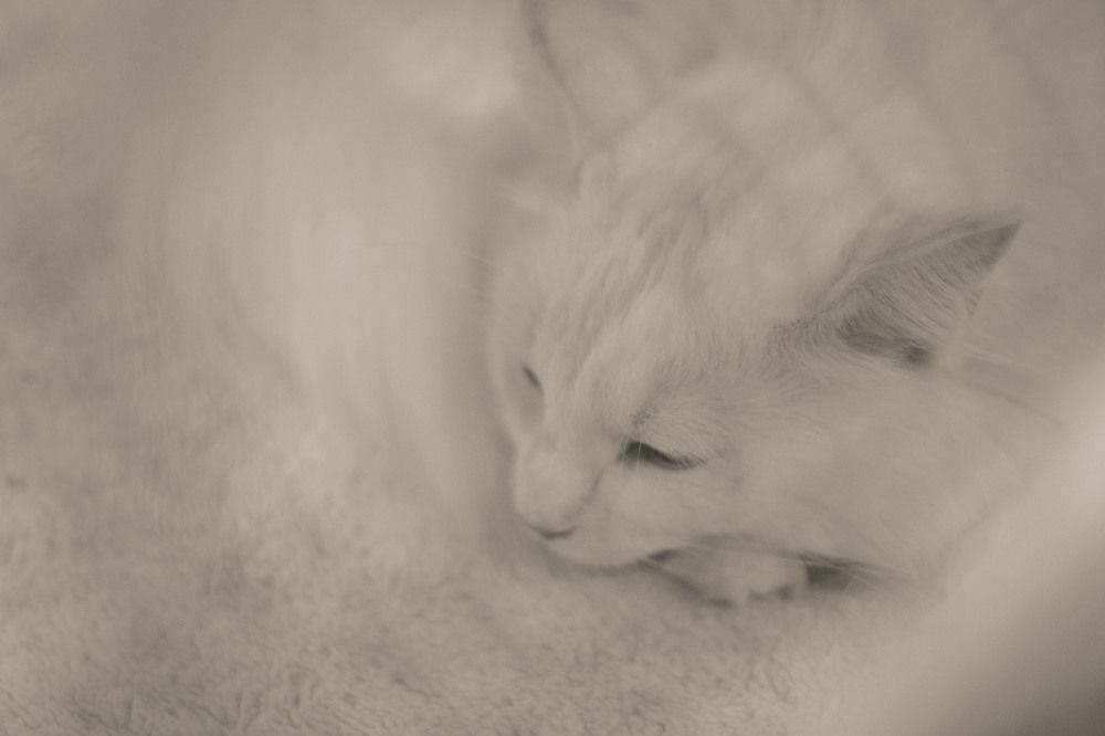 Photograph by Anna Gancheva