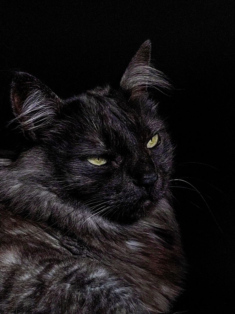 Photograph by Evgenia Korchagova