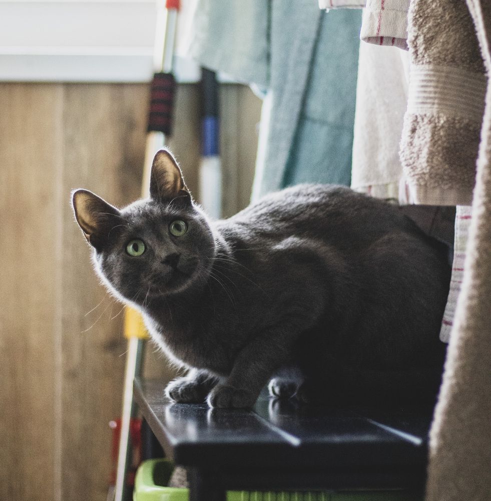 Photograph by Anna Gancheva