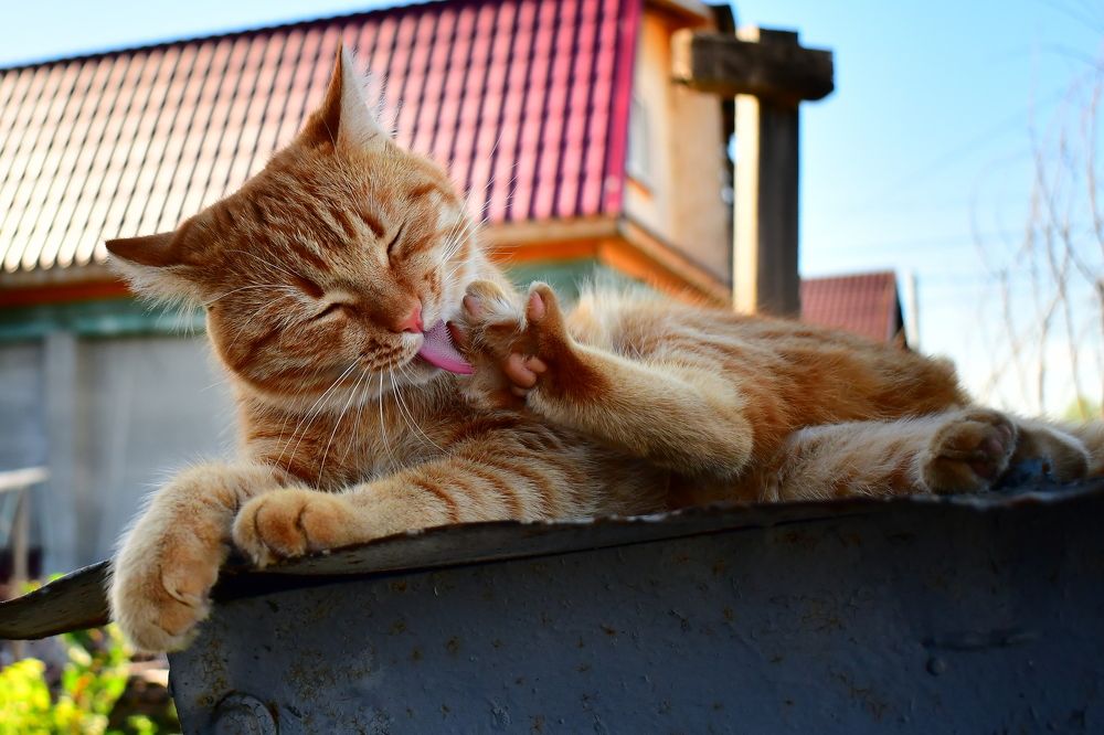 Photograph by Николай Абакумов