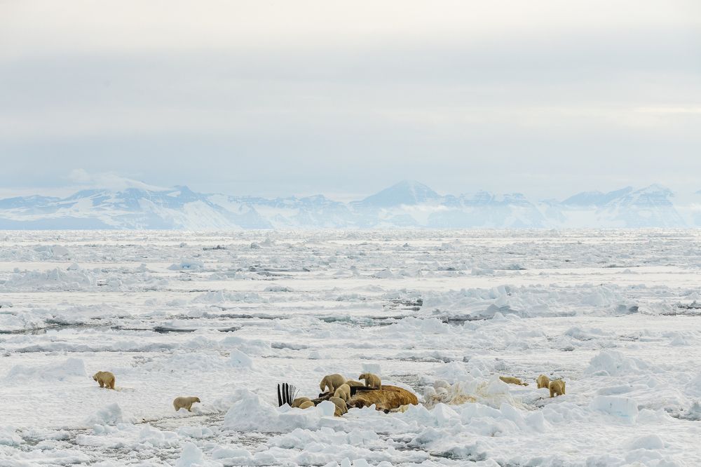 Фотография автора Robin