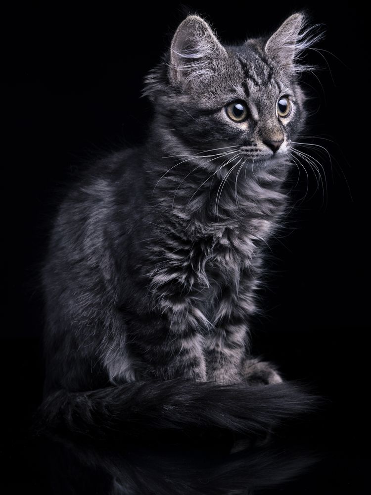 Photograph by Evgeniy Savikov