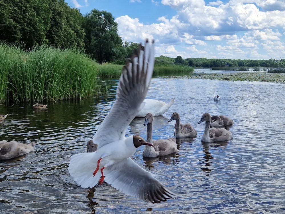 Photograph by Инна Савичева