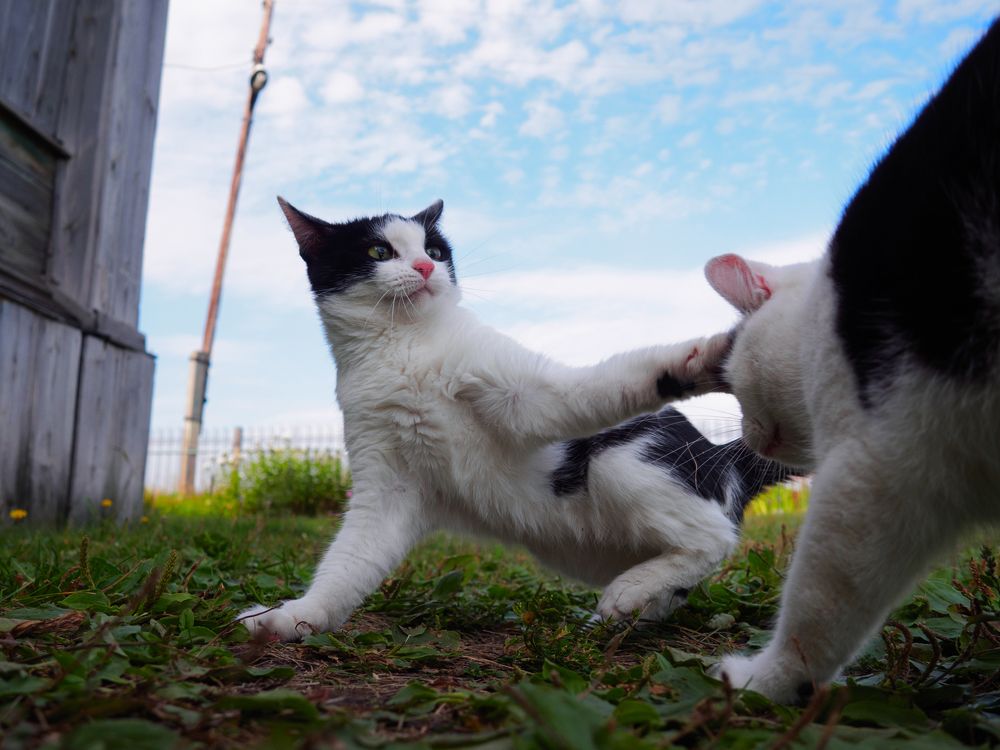 Photograph by Андрей Егоров