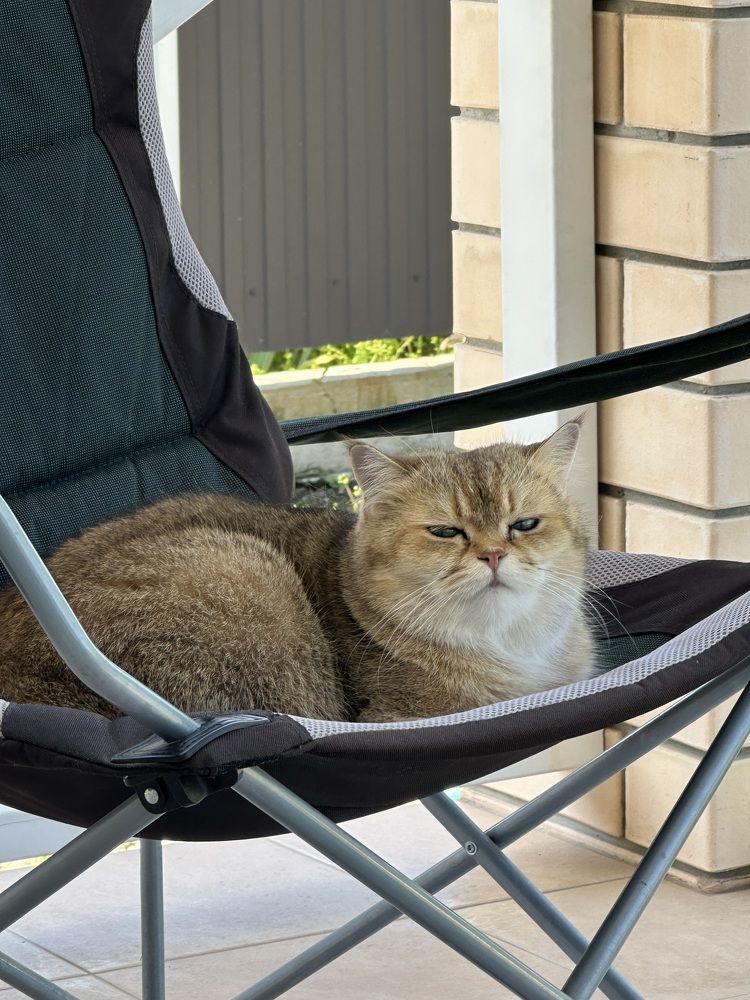 Photograph by Наталья Берон