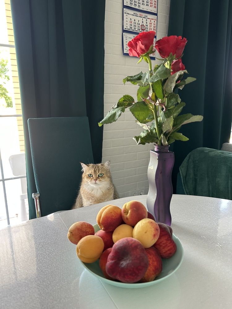 Photograph by Наталья Берон