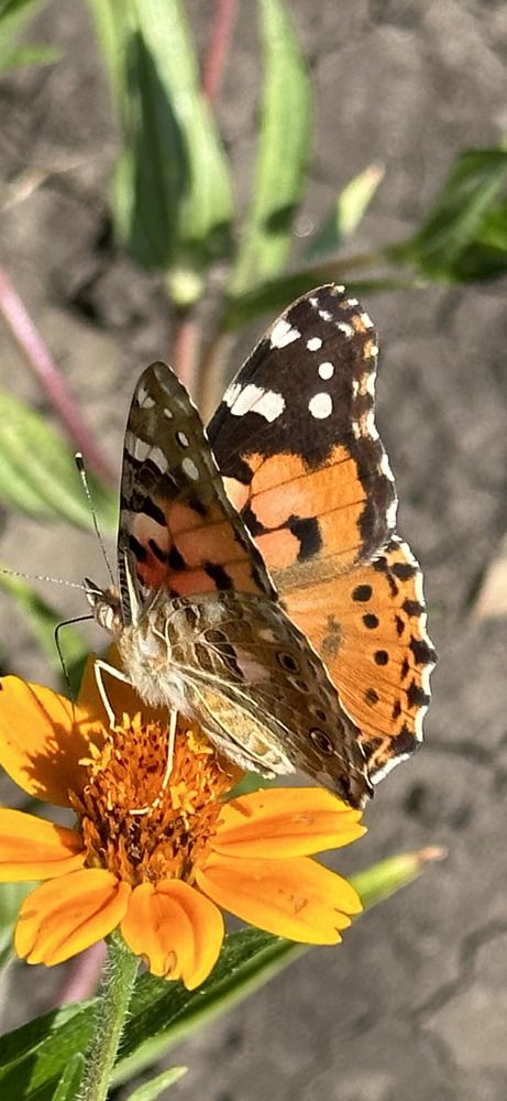 Photograph by Наталья Берон