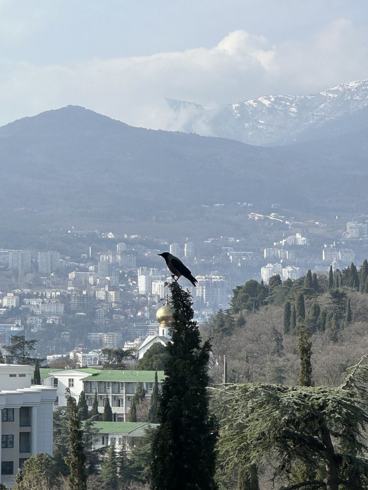 Photograph by Наталья Берон