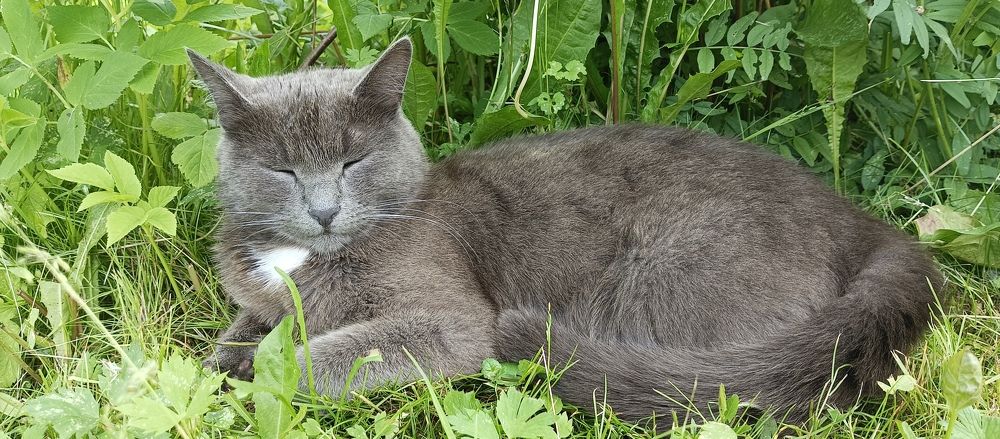 Photograph by Олеся Жакова