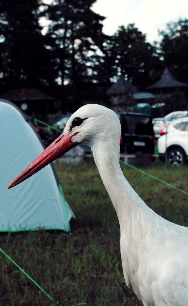 Photograph by Евгений Белов