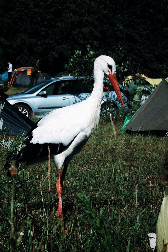 Photograph by Евгений Белов