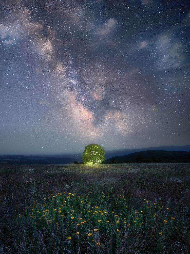 Photograph by Helen Vasilieva