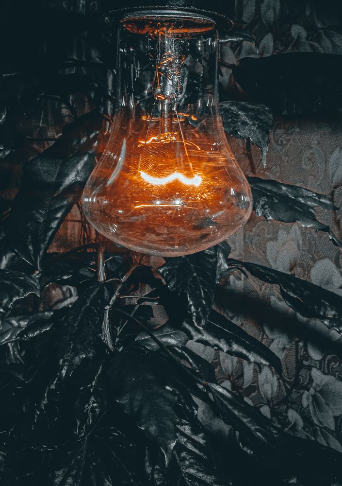 Photograph by Дмитрий Тютюнник