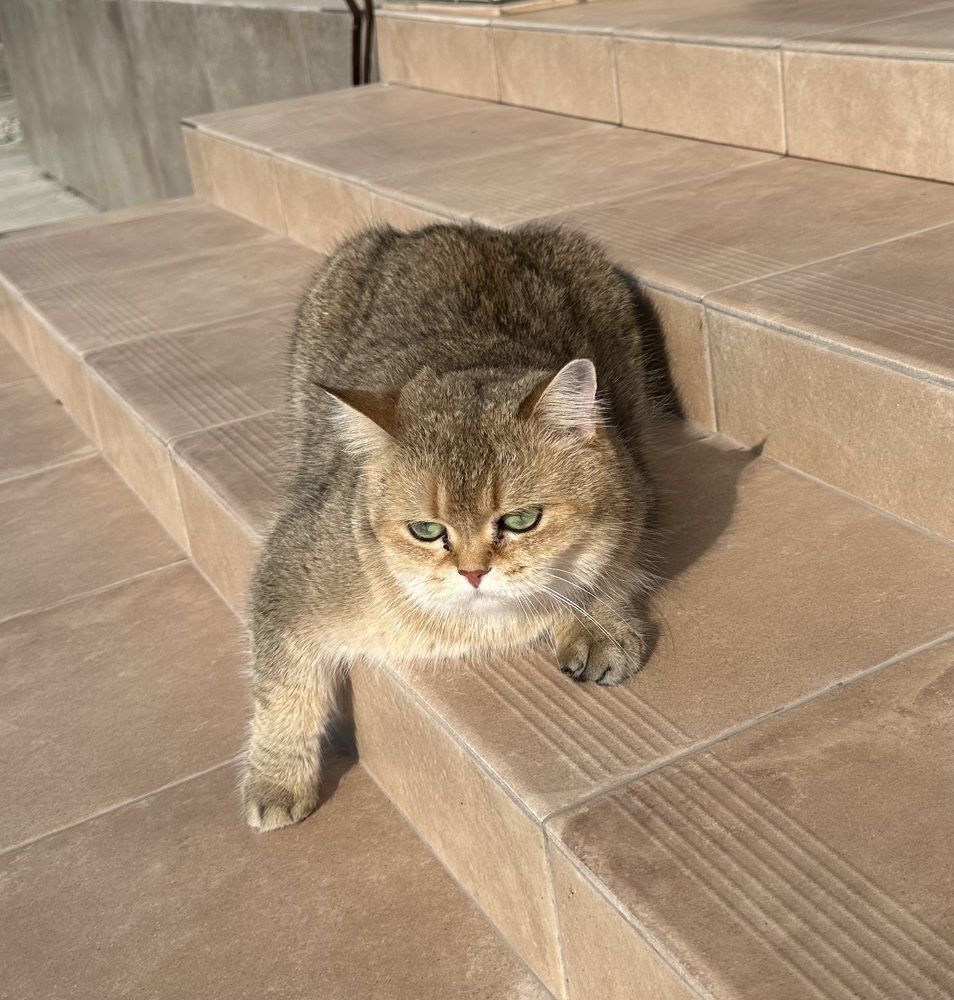 Photograph by Наталья Берон