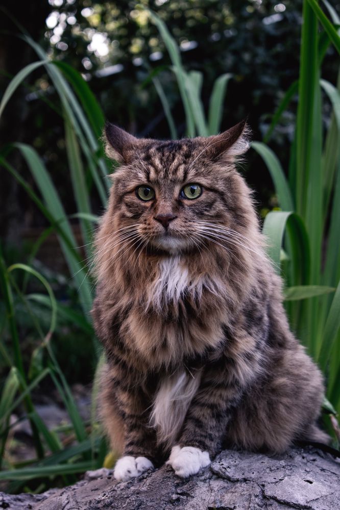 Photograph by Галина Ноздрина