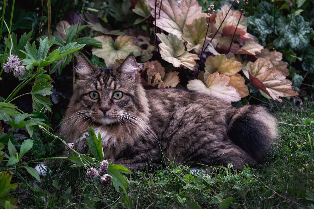 Photograph by Галина Ноздрина