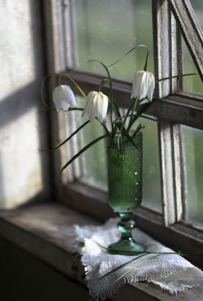 Photograph by Tatyana Fedenkova