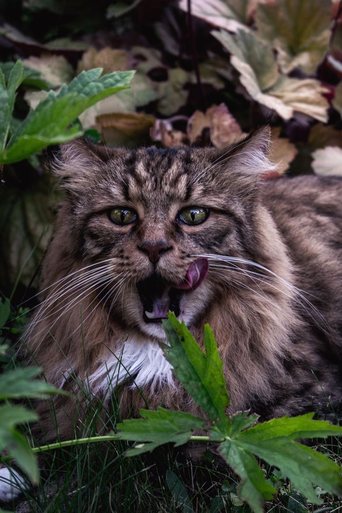 Photograph by Галина Ноздрина