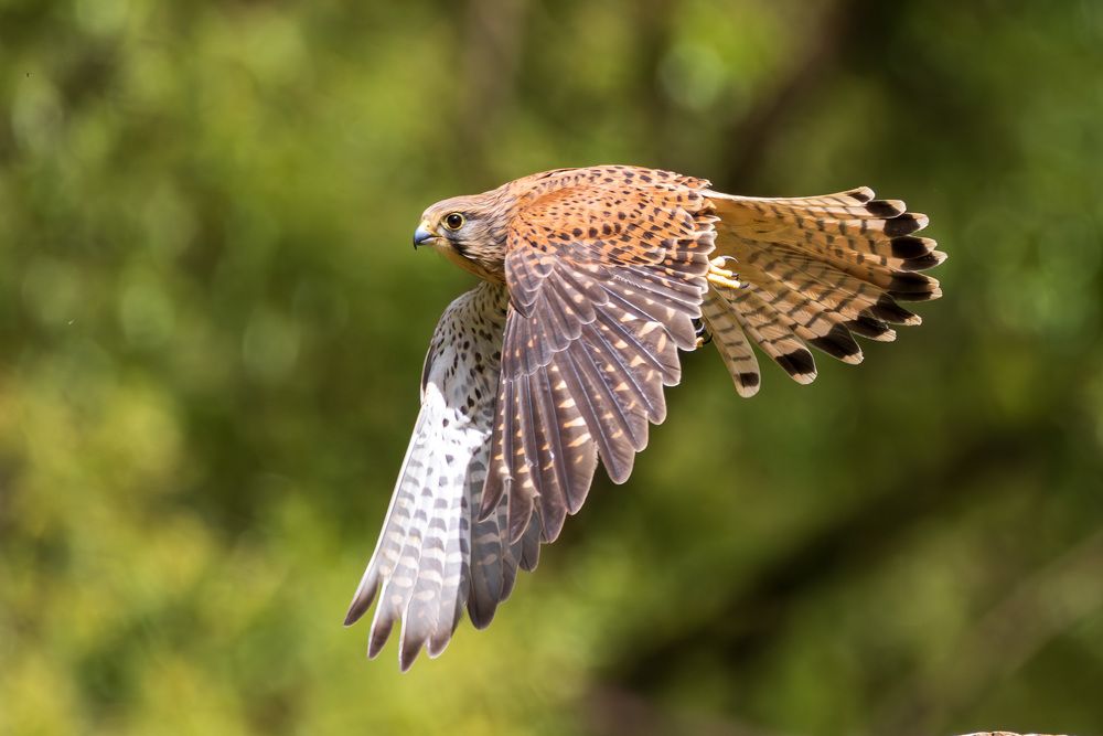 Photograph by Abhi Fotografie