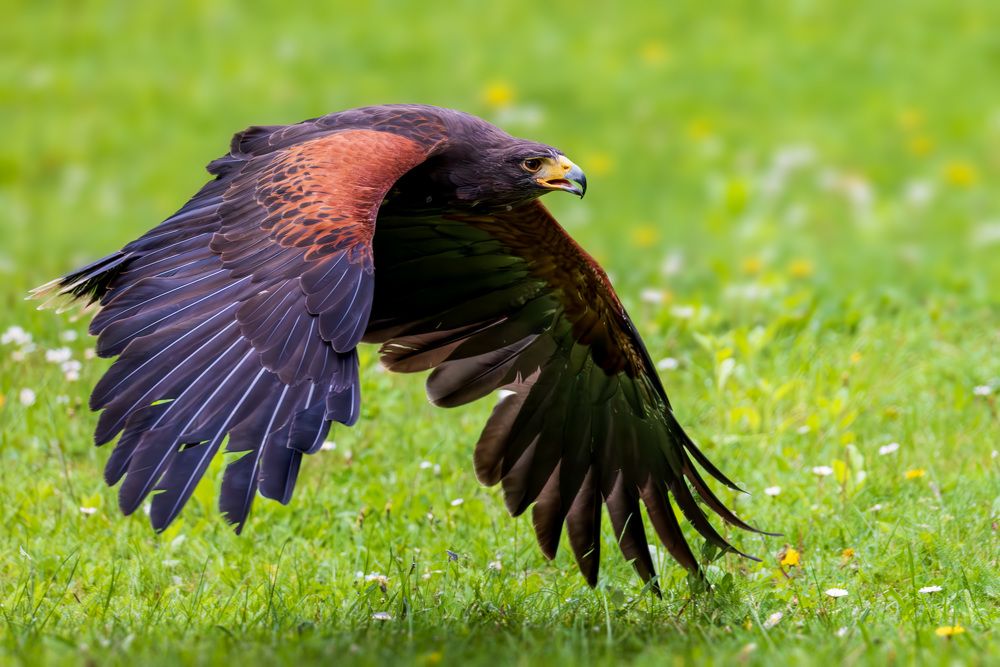 Photograph by Abhi Fotografie