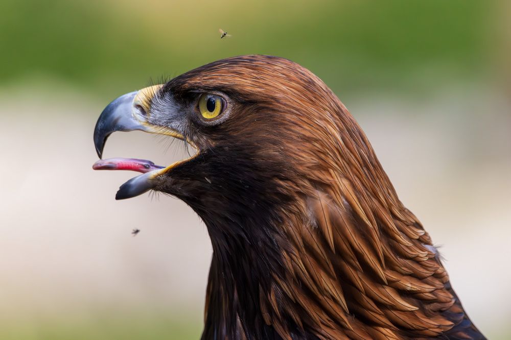 Photograph by Abhi Fotografie