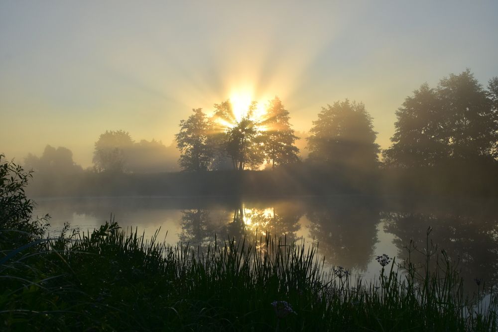 В первых лучах солнца.