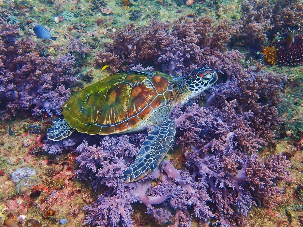 Photograph by Кирилл Леднев