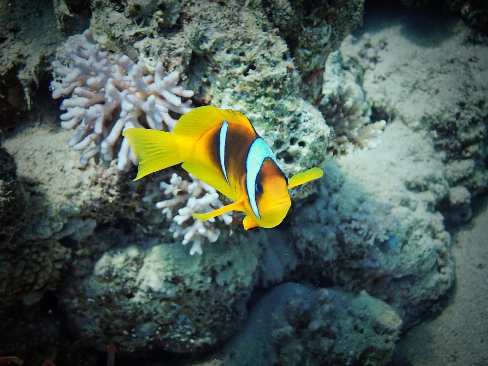 Photograph by Кирилл Леднев