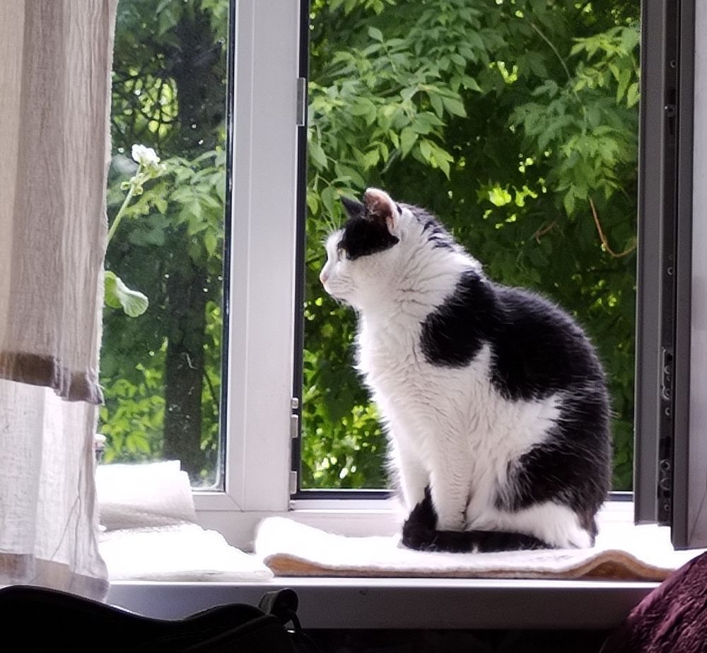 Фотография автора Марина Кушнарева